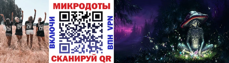 купить наркоту  Магас  Галлюциногенные грибы Psilocybine cubensis 