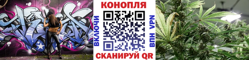 blacksprut онион  Магас  Бошки марихуана семена 